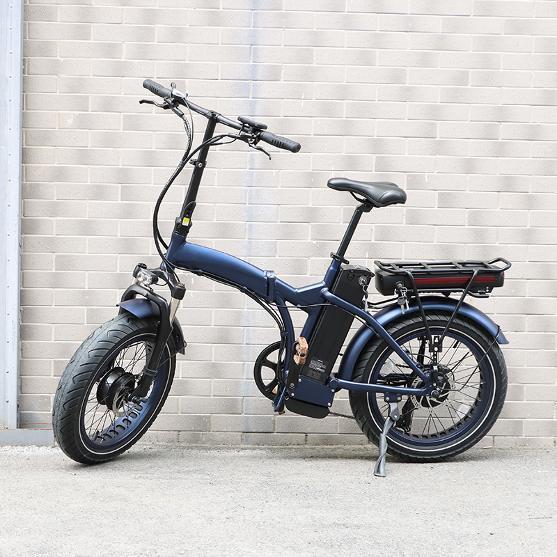 20 * 4.0 Dual Battery Dual Motor Big Power Long Distance Electric City Bike