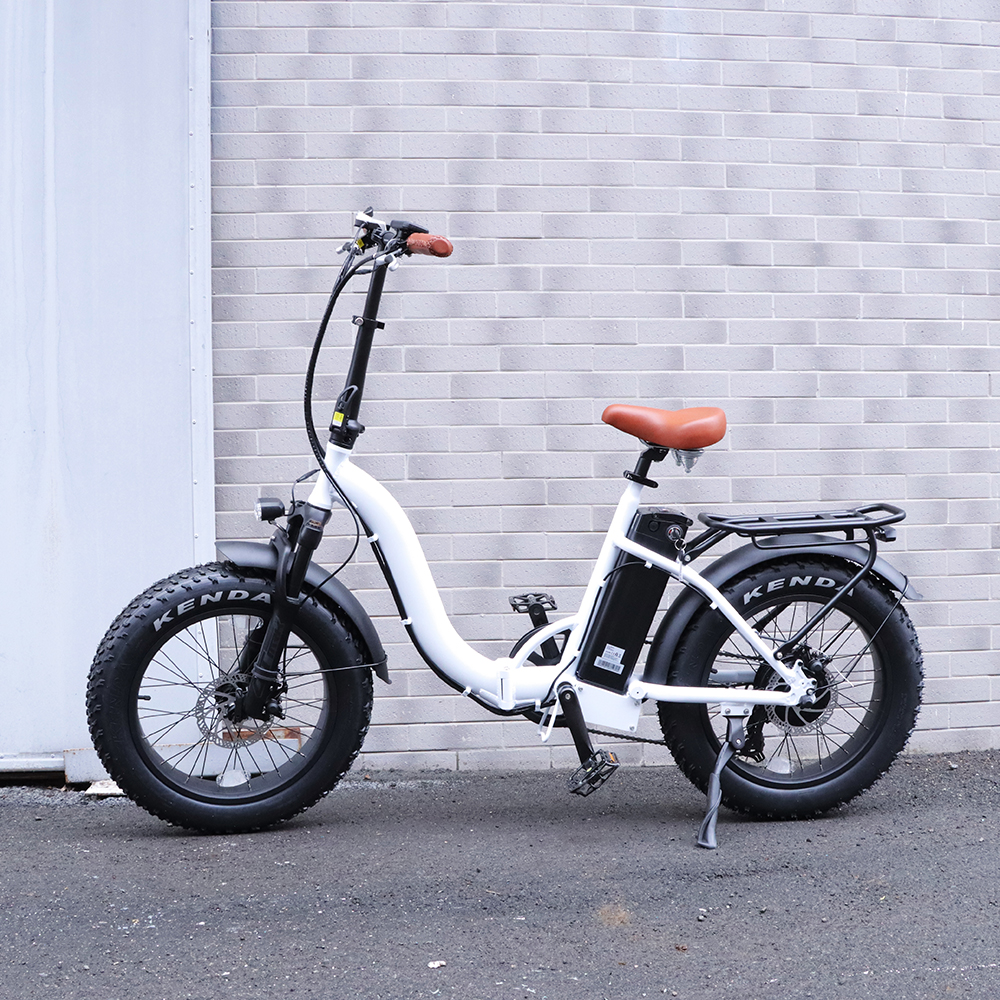 20 Inch Customizable Folding Electric Bicycle