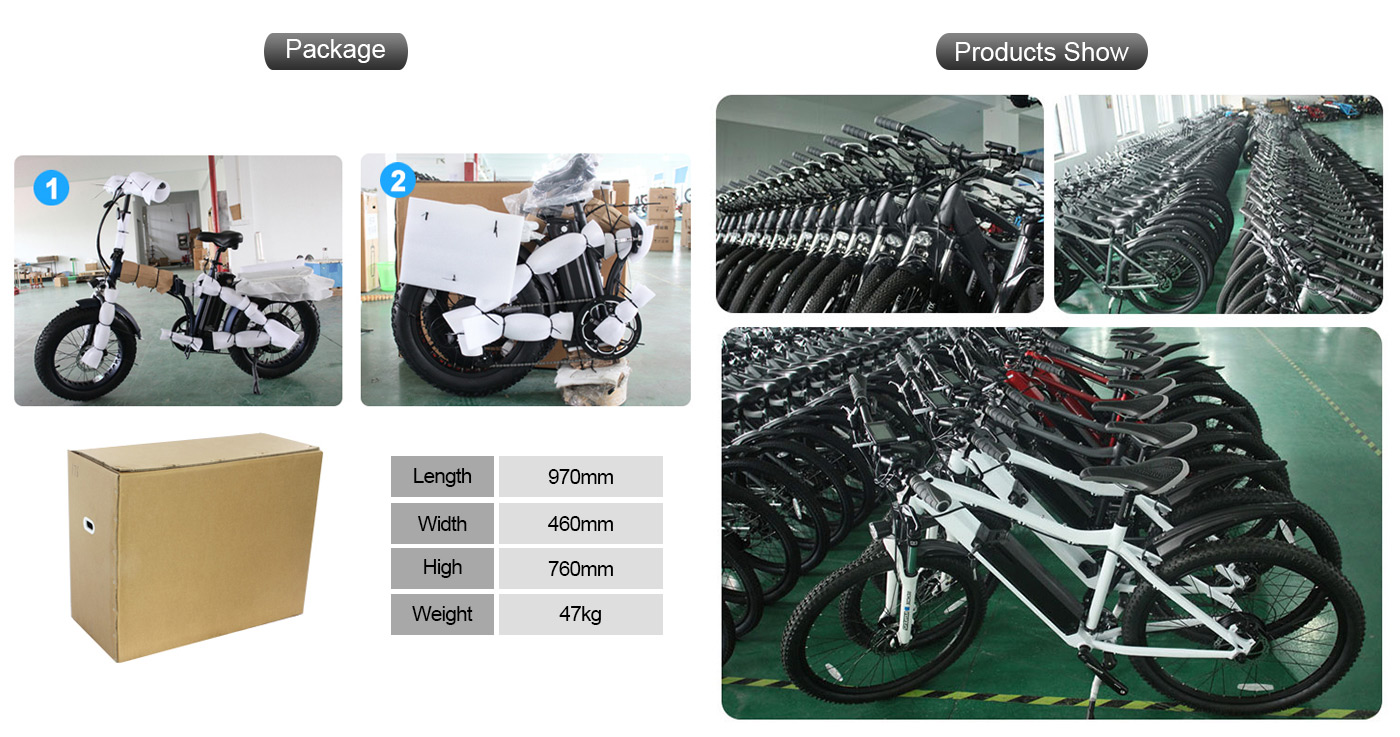 20 inch 48v 1000w electric bike manufacturer