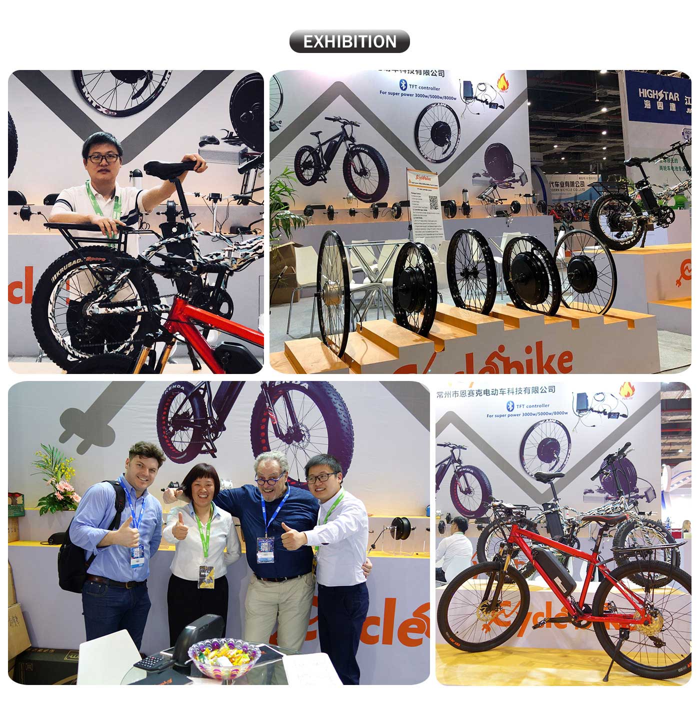 Electric bike manufacturer